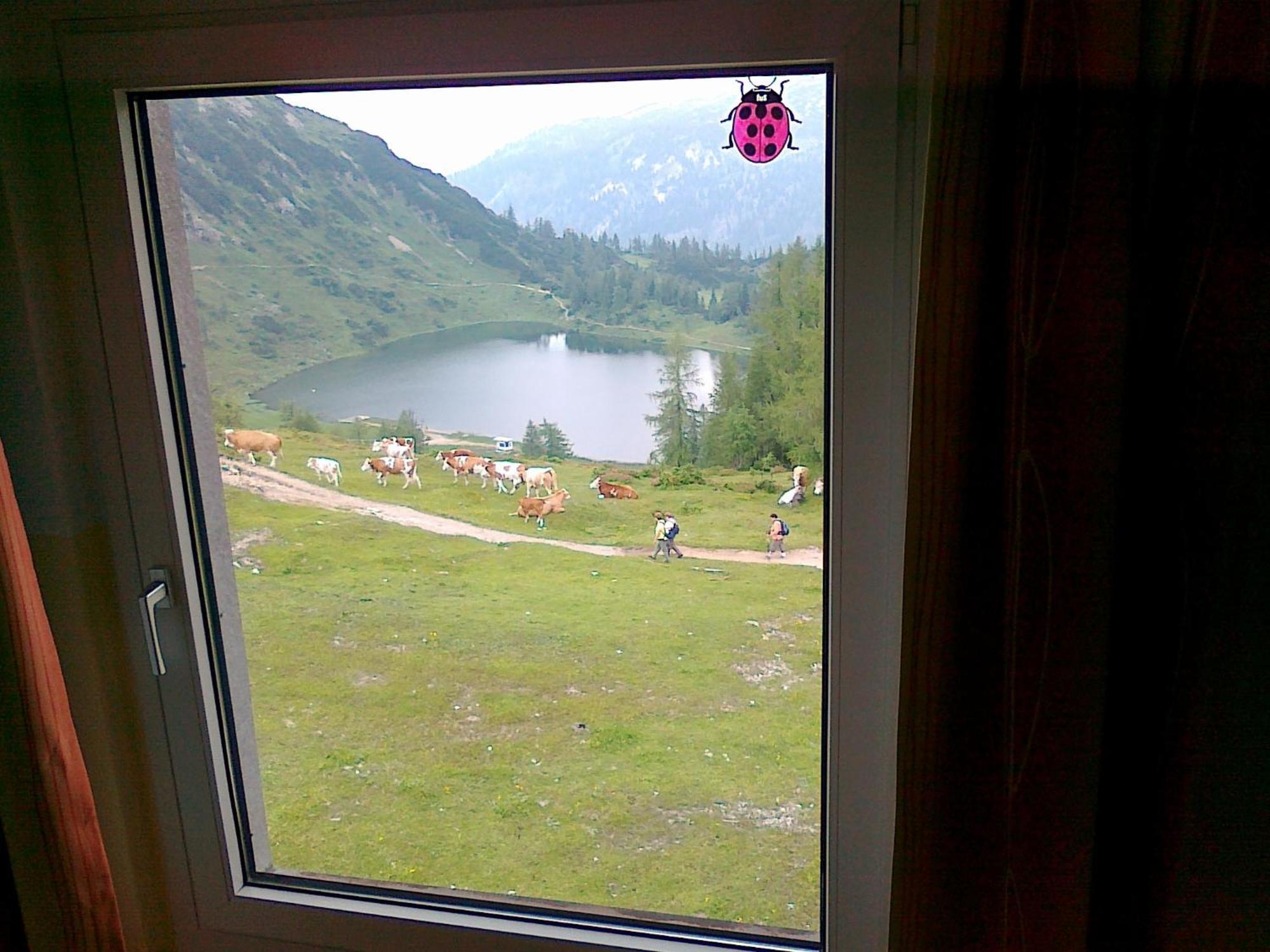Hotel Berghof Tauplitzalm Zewnętrze zdjęcie