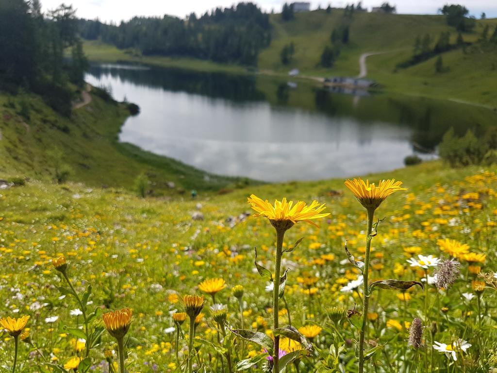 Hotel Berghof Tauplitzalm Zewnętrze zdjęcie